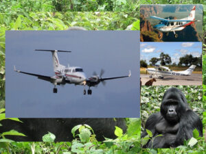 gorilla tour booking safaris rwanda trekking flight to bwindi impenetrable forest