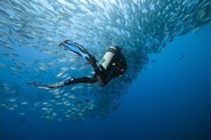 PADI Certification