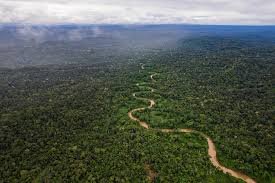 AMAZON RAINFOREST